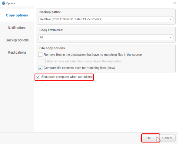 Copy options tab